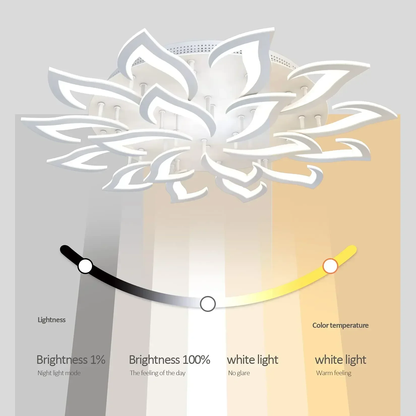 Designer LED Petal Chandelier  - đánh giá và giá Interior Design Luxury Living Room